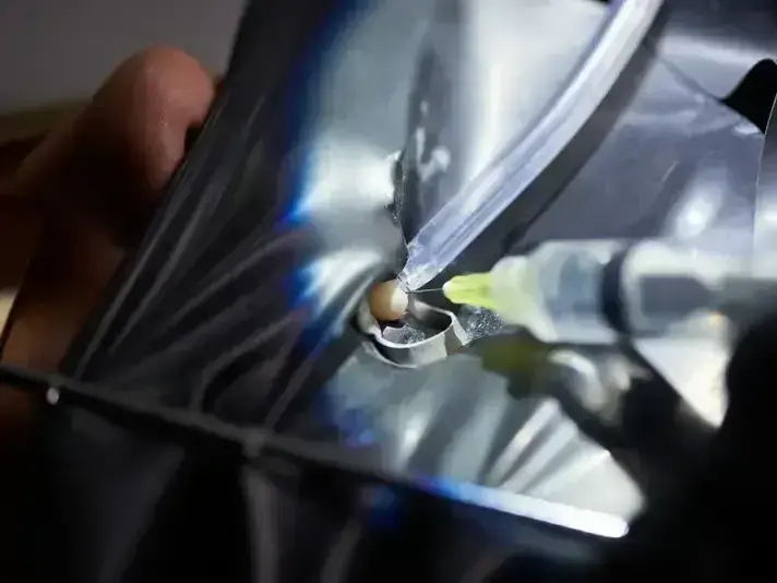 Windshield Repair in Sammamish - Protech Auto Glass